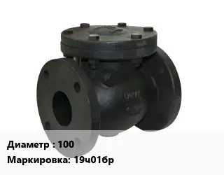 Клапан чугунный 100 19ч01бр Ру16 обратный 225